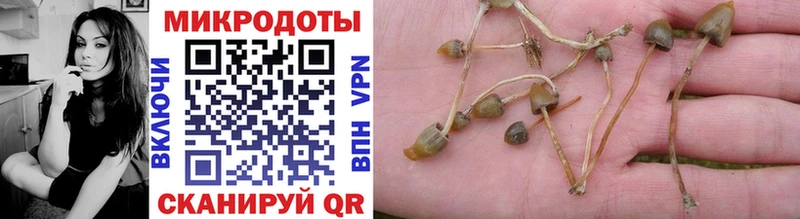 Галлюциногенные грибы MAGIC MUSHROOMS  где купить   Афипский 
